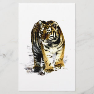 Papeterie Tigre
