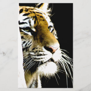 Papeterie Tigre