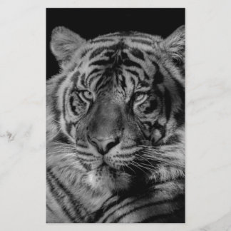 Papeterie Tigre noir et blanc