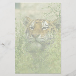 Papeterie tigre stationnaire