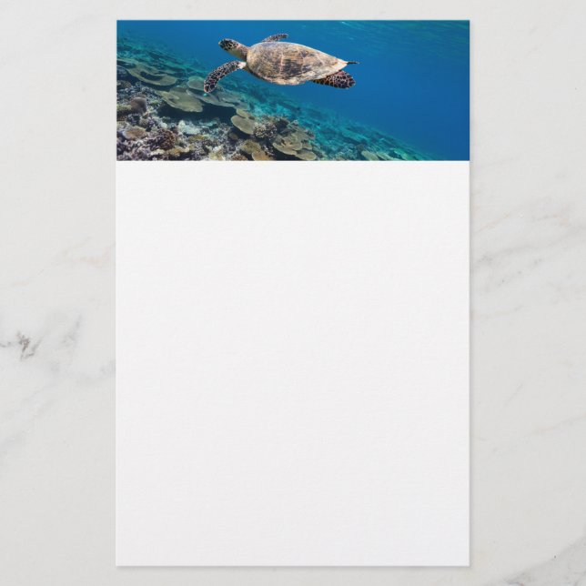 Papeterie Tortue de mer (Devant)