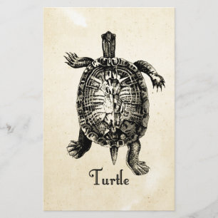Papeterie TORTUE vintage