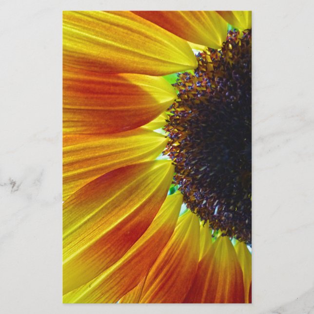 Papeterie Tournesol (Devant)