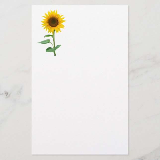Papeterie Tournesol (Devant)