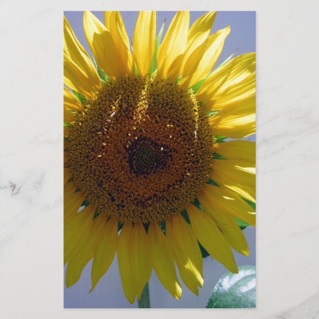 Papeterie Tournesol jaune (Devant)