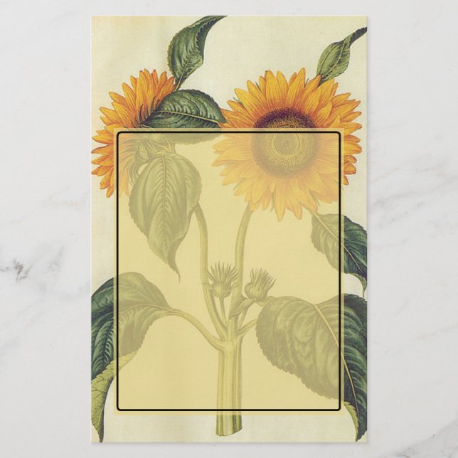 Papeterie Tournesols (Devant)