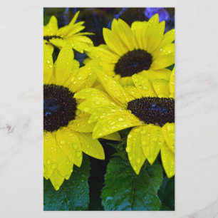 PAPETERIE TOURNESOLS MAGNIFIQUES DE JARDIN