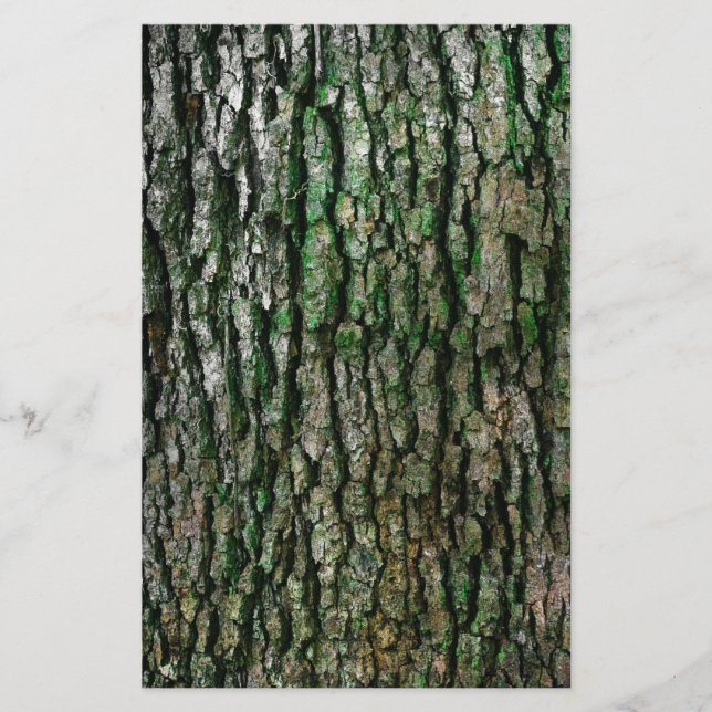 Papeterie Tronc d'arbre (écorce en bois) (Devant)