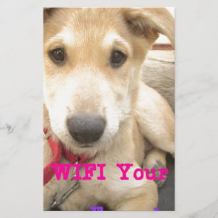 Papeterie Tu Devrais WIFI Ton Amour Tous Les Jours