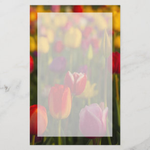 Papeterie Tulipes, Festival des Tulipes, Woodburn, Oregon, É