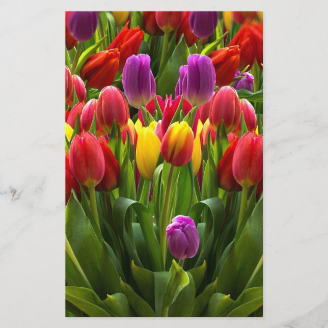 Papeterie Tulipes lumineuses (Devant)
