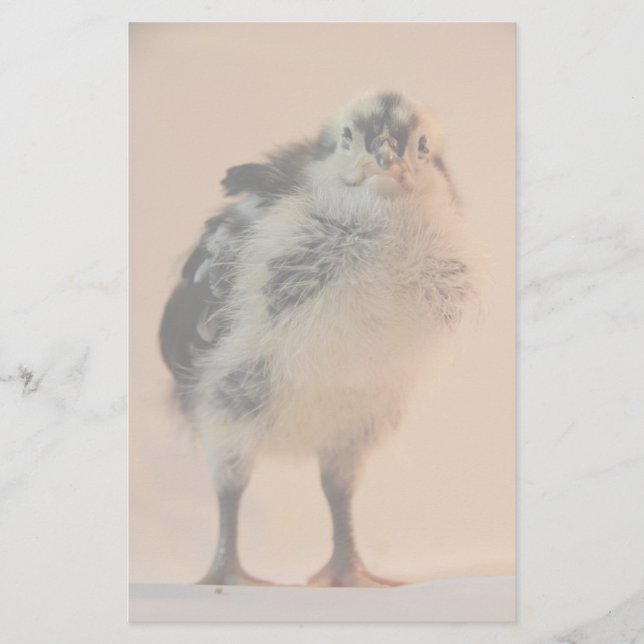 Papeterie Ugly Chick (Devant)