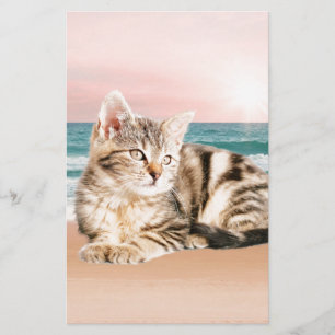 Papeterie Un chat rayé plus mignon assis sur la plage au cou
