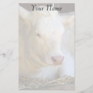 Papeterie Vache blanche