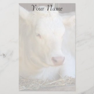 Papeterie Vache blanche