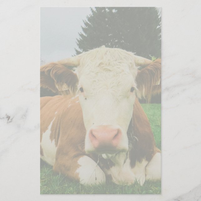 Papeterie Vaches (Devant)