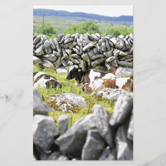 Papeterie Vaches Moo (Devant)