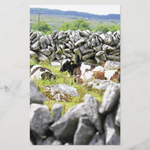 Papeterie Vaches qui mugissent