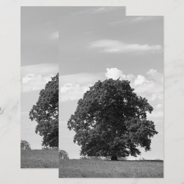 Papeterie Vieux arbre (Devant / Derrière)
