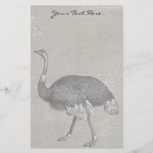 Papeterie Vintage Ostrich (Devant)