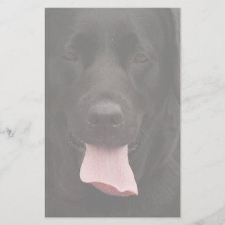 Papeterie Visage de chien noir