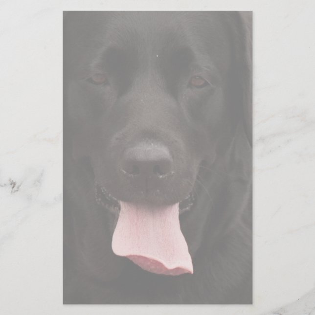 Papeterie Visage de chien noir (Devant)