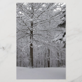 Papeterie Vue Woods