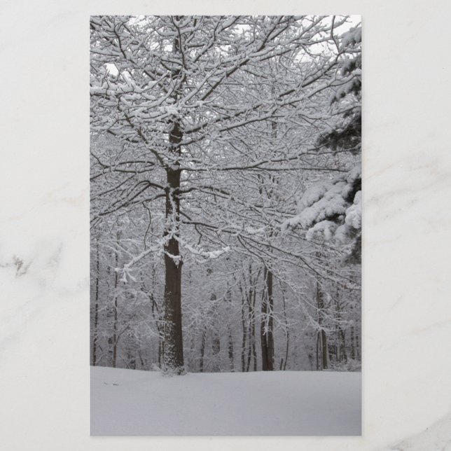 Papeterie Vue Woods (Devant)
