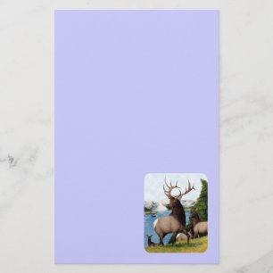 Papeterie Wapiti