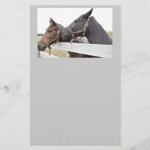 Papeterie Whisperer de cheval original