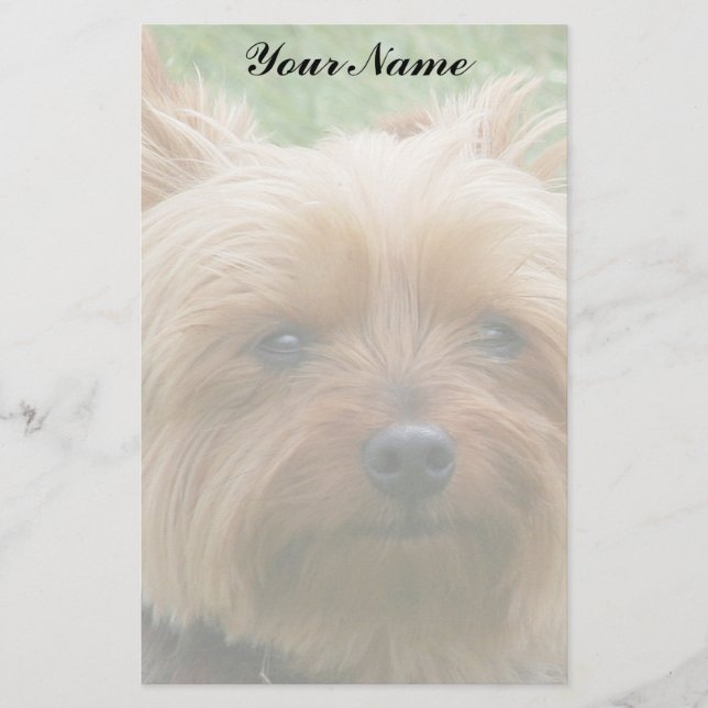 Papeterie Yorkshire Terrier (Devant)