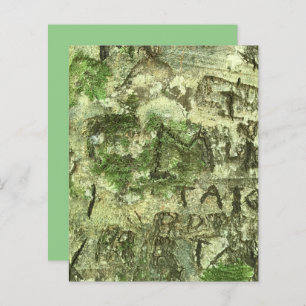 Papier à écorce Brown vert sculpté Texture écorce