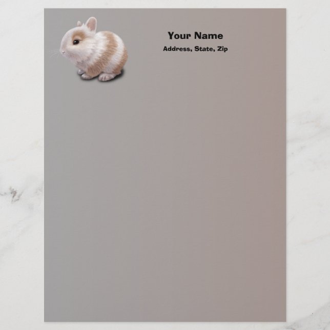 Papier À En-tête Avec Motif Bébé Lapin (Devant)