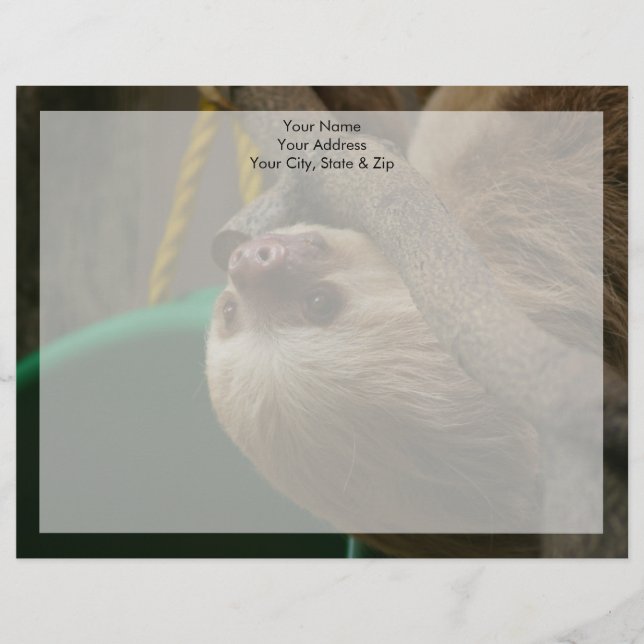 Papier À En-tête Avec Motif Sloth (Devant)
