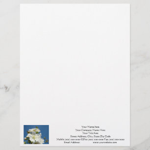Papier à en-tête Cerisier Fleur Bleu Ciel personna