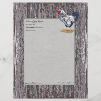 Papier À En-tête Coq de Wyandotte lacé par argent