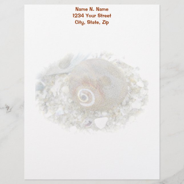 Papier À En-tête Coquillage à bas niveau pour les éléments de coord (Devant)