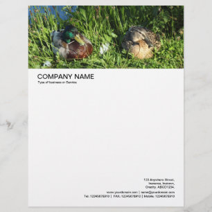 Papier À En-tête En-tête photo - M. et Mme Mallard