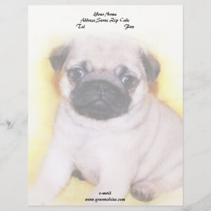 Papier À En-tête Personnalisable Chiot de carlin