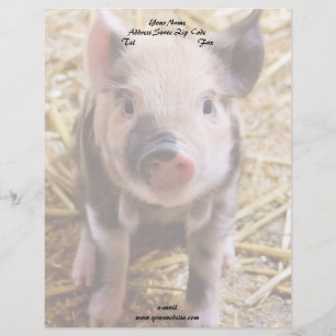 Papier À En-tête Personnalisable Piglet