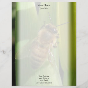 Papier À En-tête Personnalisé Abeille sur l'en-tête de lettre de fleur blanche