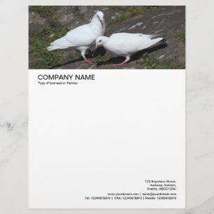 Papier À En-tête Personnalisé En-tête grande image - Pigeons blancs