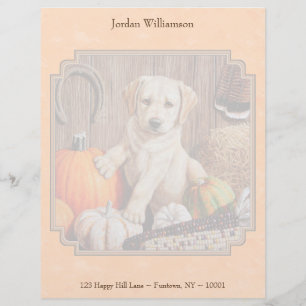 Papier À En-tête Personnalisé Yellow Lab Pup et Pumkin Harvest Orange