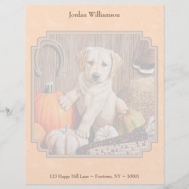 Papier À En-tête Personnalisé Yellow Lab Pup et Pumkin Harvest Orange (Devant)