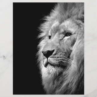 Papier À En-tête Portrait de Lion noir blanc - Photographie d'anima