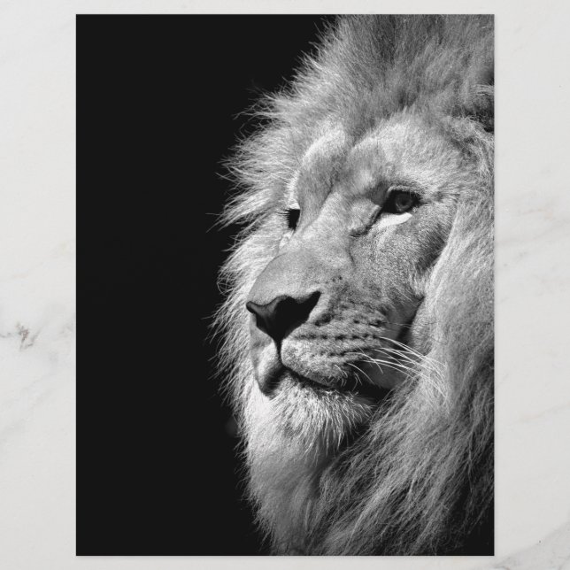 Papier À En-tête Portrait de Lion noir blanc - Photographie d'anima (Devant)