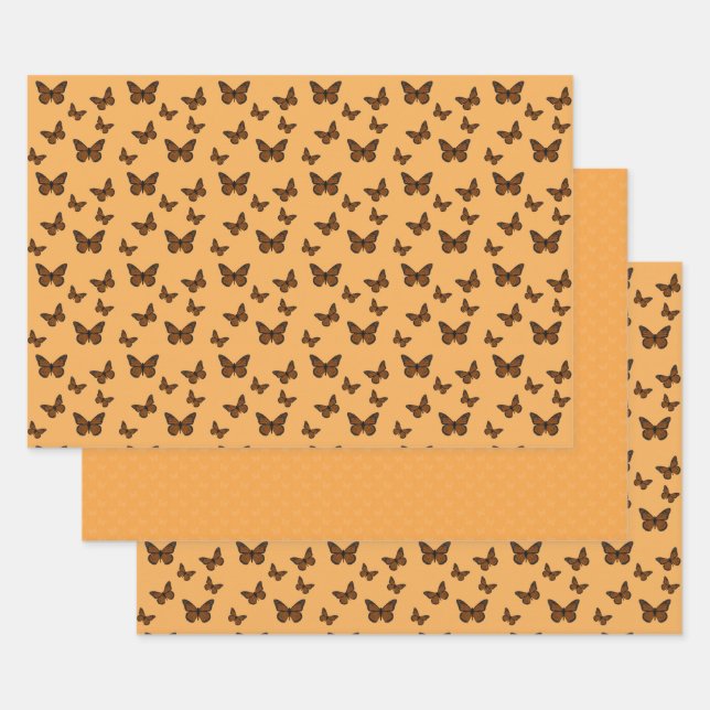 Papier à enveloppement de monarque (Lot)