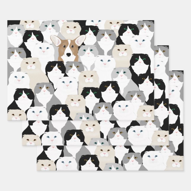 Papier à enveloppement pour chats et chiens (Lot)
