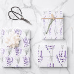 Papier à envelopper Feuille plate de 3<br><div class="desc">Lavender is incredibly healing and this beautiful wrapping paper set would pair beautifully with a thinking of you gift,  sympathy gift,  get well gift,  or any other special opportunité!</div>