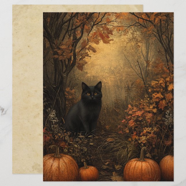 Papier à gratter Samhain Black Cat (Devant / Derrière)